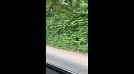 Car flipped over at horse riding centre