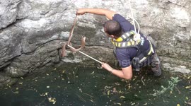 Brave rescuer dodges aggressive cobra trapped in well in western India
