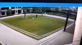 Pet owner fined after their unleashed dog chases after girl in China