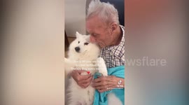 Heartwarming reaction as care home residents enjoy visit from therapy dogs