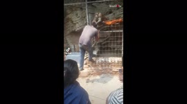Viral monkey grabs man's hair and refuses to let go