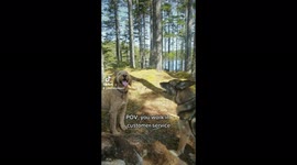 This dog's face while being barked at is what working in customer service feels like