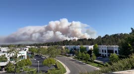 US: Brush Fire Erupts In Laguna Beach, California Sending Thick Smoke Into Sky 6