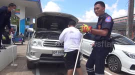 Massive king cobra caught inside car engine in Thailand