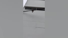 Hapless stray cat rescued after being stuck on electricity cables