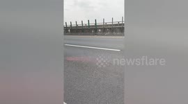 Kind motorist adopts abandoned cat left on busy highway in Taiwan