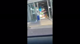 Seagull taking crisps from tesco