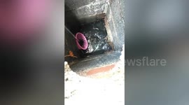 Stray cat rescued after getting stuck at the bottom of sewer