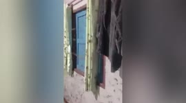 Swarm of flying termites invades house in Thailand