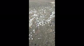 Thousands of 'vulnerable' turtle eggs destroyed as Cyclone Asani ravages Indian beach