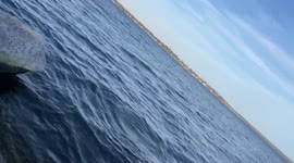 Canadian dad catches his first walleye, but his five year old son‘s video work is somewhat lacking!