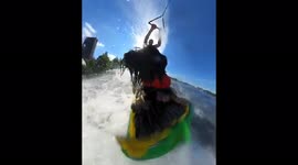 Dog Teddy proudly and bravely wakeboards together with his owner