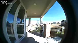 Toddler scares father