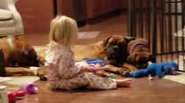 Bedtime Story for Dogs