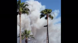 US: Brush Fire Erupts In Laguna Beach, California Sending Thick Smoke Into Sky 7