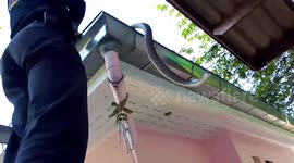 Animal rescuer saves rat snake stuck in gutter pipe