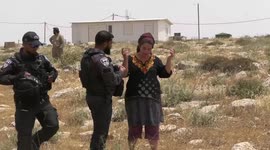 Palestinian activists scuffle with Israeli settlers and soldiers