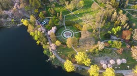 Drone Flying over Cherry Blossoms in High Park, Toronto Canada 4k
