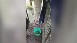 Aggressive bird kicks vet student's backside