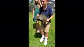 Ninja turtle! Rescue in Florida has unexpectedly dramatic ending