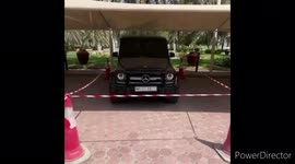 Sheikh Hamdan bin Rashid Al Maktoum, Prince of Dubai ....      When he saw a bird building a nest to lay eggs in his expensive car, he ordered that the car not be used and that no one go near it.