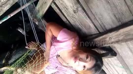 Kind woman rescues python stuck in fishing net