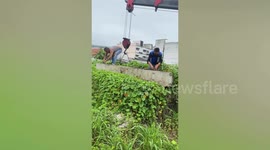 Five stray puppies rescued after being trapped under concrete beam for five days