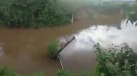 Killer crocodile drags elderly fisherman through river in Indonesia