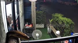 Terrifying moment huge python appears on CCTV