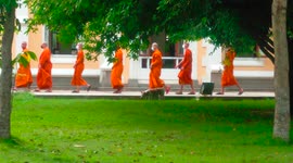 Buddhist monks and Thai people pray and carry flowers and candles as the walk around a temple three times, a ritual performed on Visak Buddha Day.