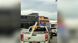 Monkeys steal plastic bags from pickup truck stuck in slow traffic in Thailand