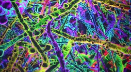 NY: 'Life Of A Neuron' Preview At Artechhouse NYC, US