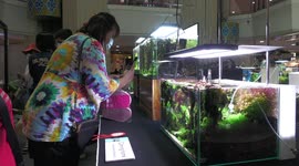 Competitors pit their aquariums against one another in Thailand