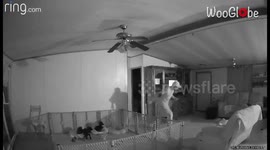 'Ring Camera catches man almost messing up his dogs' playpen while drunk walking'