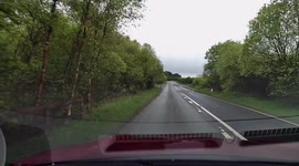 Dashcam footage of a mother duck followed by ducklings across a road narrowly avoiding being killed.