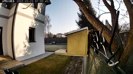 Squirrel is searching for walnuts and opens the feeder itself (part1)