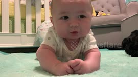 Dog shows baby how to roll