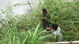 Crocodile finally caught and removed from Indonesian river after spooking locals