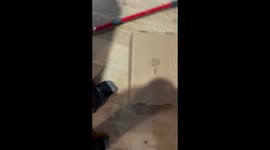 Kitten cat scares owner hiding under a box moving around playing funny