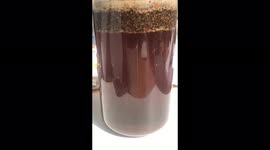 coffee brewing in a cafetierre, watching the coffee grounds mix  oddlysatisfying