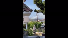US: Brush Fire Breaks Out In Griffith Park, Los Angeles