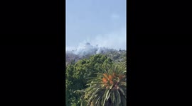 US: Brush Fire Breaks Out In Griffith Park, Los Angeles 3