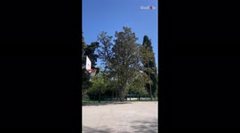 Unreal basketball trick shot