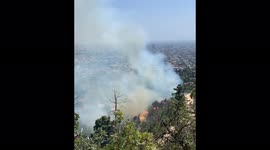 Brush fire breaks out near iconic Hollywood landmark, Griffith Observatory