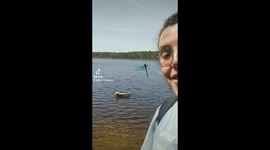 Golden Retriever prefers to search for fish instead of actually swimming