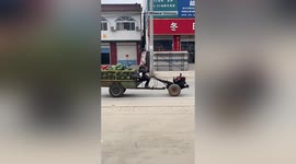 Elderly vendor drives tractor carrying watermelons while playing Chinese instrument