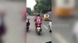 Adorable pet Shih Tzu enjoys riding pillion while fastened into backpack