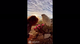 Autistic boy with amazing hair walking his dog through the desert stopping to smell and enjoy all the fresh spring blossoms on the desert plants. creosote, sage, cholla and beavertail cactus