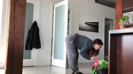 Bengal Cat owner/servant gets jumped by Ella the bengal while bent over