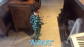 Baby brother tames his ferocious Bengal cat with his magic wand